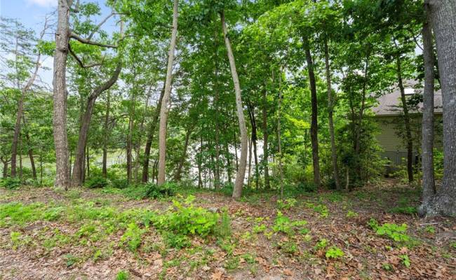 1015 Wilton Coves Drive, Middlesex County, VA 23071