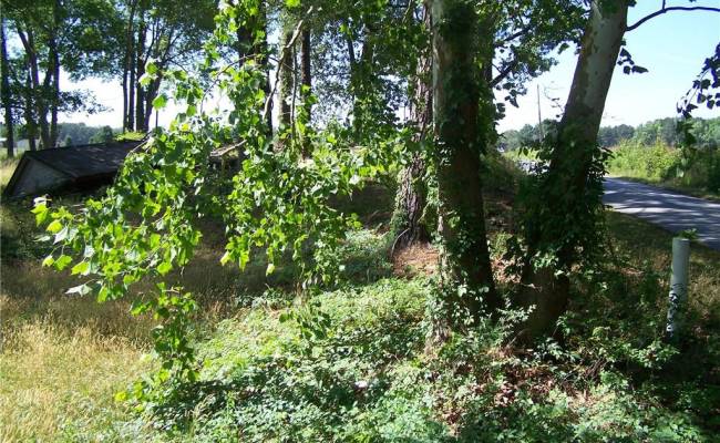 29387 Statesville Road, Southampton County, VA 23874