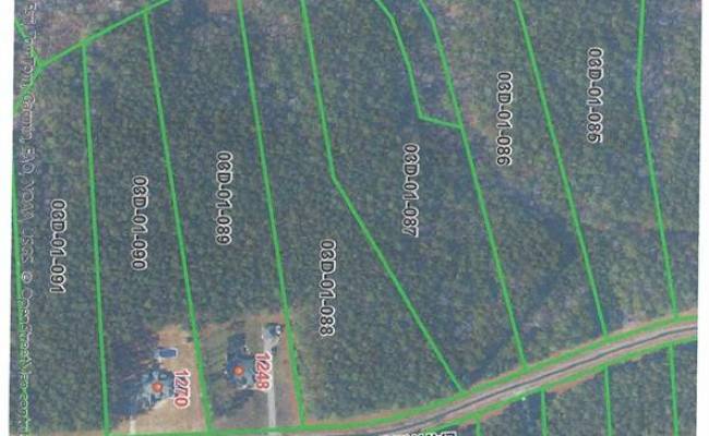 1194 Lawnes Neck Drive, Isle of Wight County, VA 23430