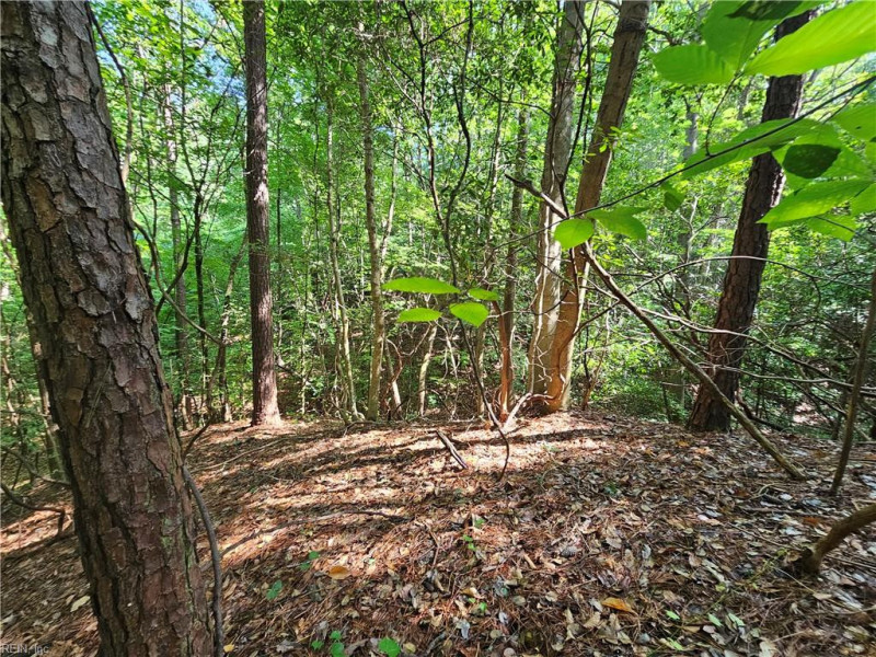 Photo 17 of 23 residential for sale in Surry County virginia Photo 17 of 23 residential for sale in Surry County virginia