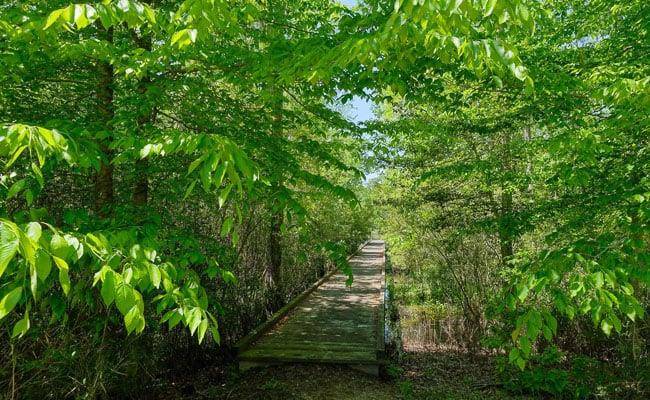 120 Colleton Circle, Chowan County, NC 27932