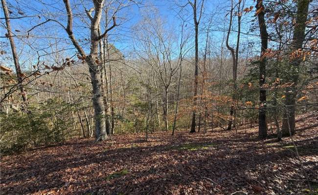 5 Meadow Circle, James City County, VA 23188