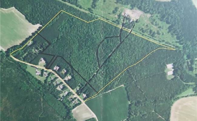 00 Guy Place Road, Southampton County, VA 23837
