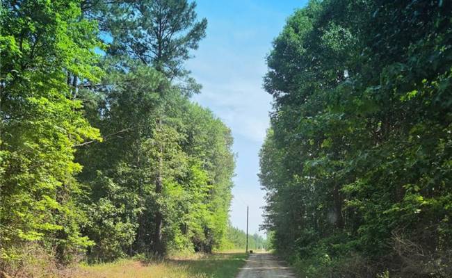 00 Guy Place Road, Southampton County, VA 23837
