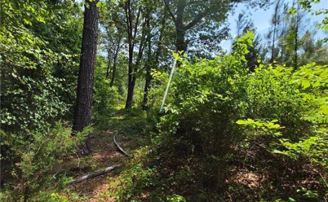 00 Guy Place Road, Southampton County, VA 23837