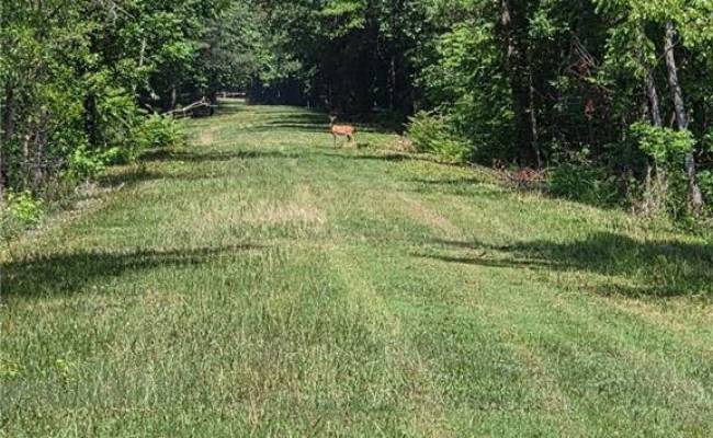 00 Guy Place Road, Southampton County, VA 23837