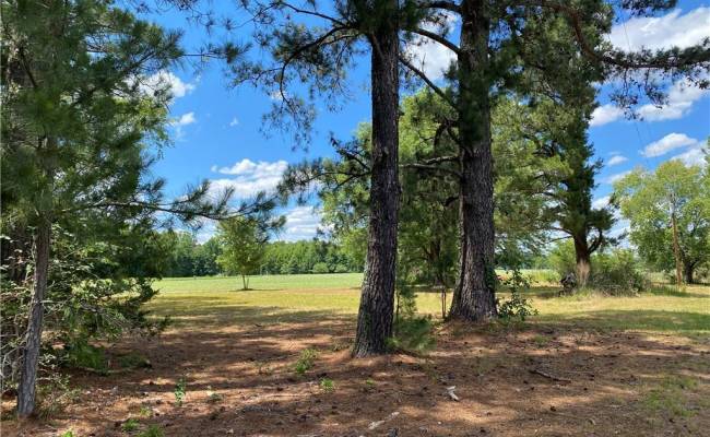 11443 Whitehead Road, Southampton County, VA 23828
