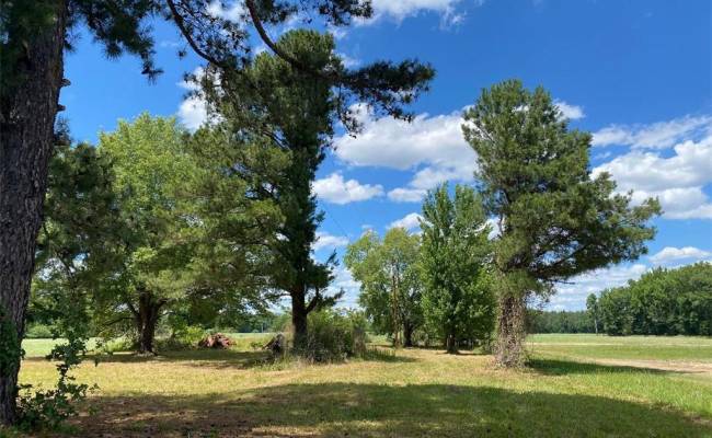 11443 Whitehead Road, Southampton County, VA 23828