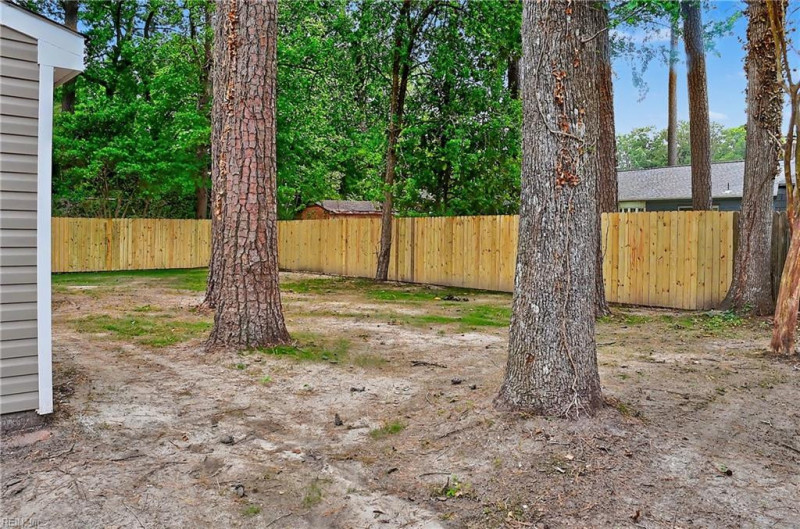 Photo 47 of 50 residential for sale in Virginia Beach virginia