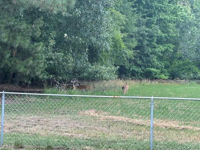 Photo 41 of 48 residential for sale in Franklin virginia