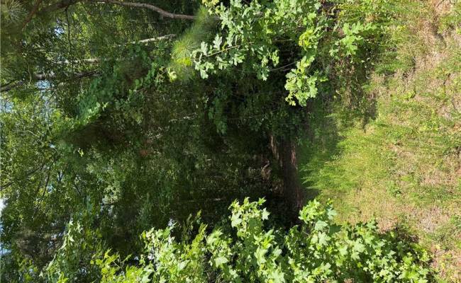 Lot 21 Arthurs Court, Chesapeake, VA 23322