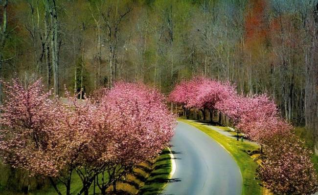 209 Kilton Forest, James City County, VA 23188