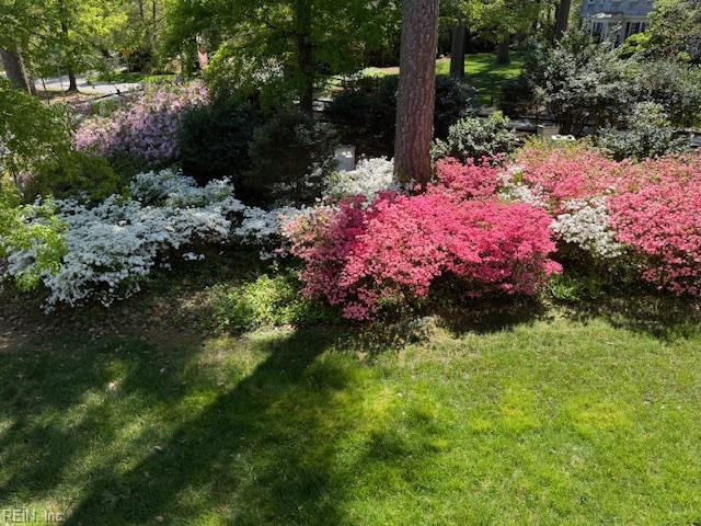 Photo 46 of 49 residential for sale in Virginia Beach virginia