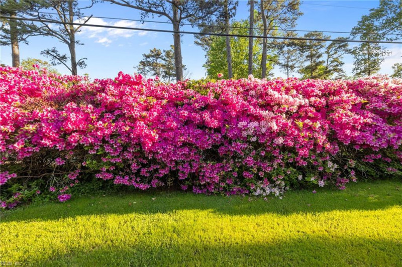 Photo 13 of 48 residential for sale in Virginia Beach virginia