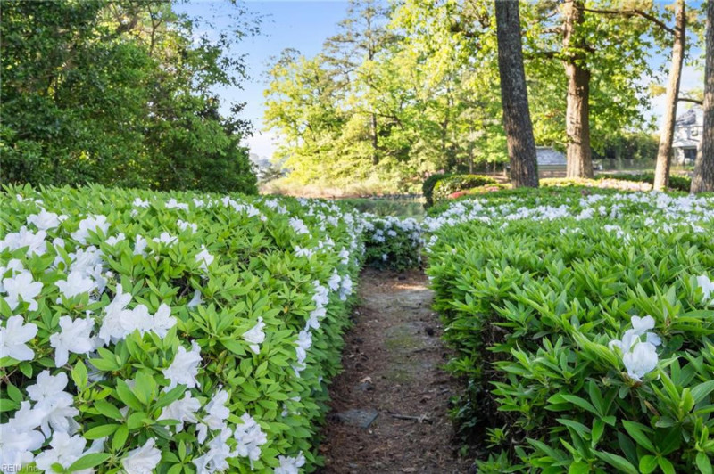Photo 20 of 48 residential for sale in Virginia Beach virginia