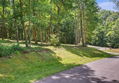 Lot 50 Donald Ross Trail, Alleghany, VA 24445