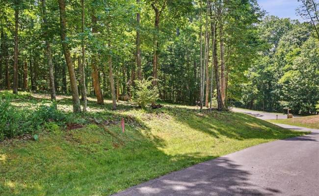 Lot 50 Donald Ross Trail, Alleghany, VA 24445
