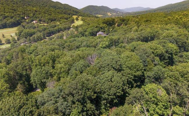 Lot 50 Donald Ross Trail, Alleghany, VA 24445