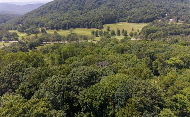 Lot 50 Donald Ross Trail, Alleghany, VA 24445