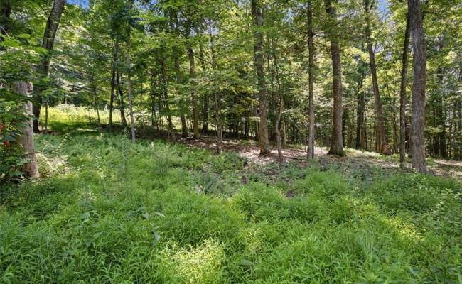 Lot 50 Donald Ross Trail, Alleghany, VA 24445