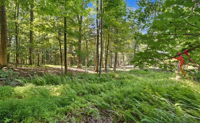 Lot 50 Donald Ross Trail, Alleghany, VA 24445