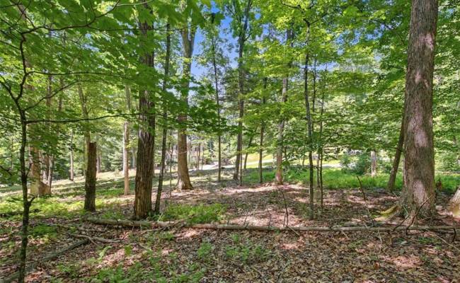 Lot 50 Donald Ross Trail, Alleghany, VA 24445