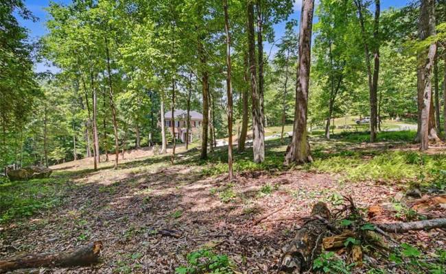 Lot 50 Donald Ross Trail, Alleghany, VA 24445