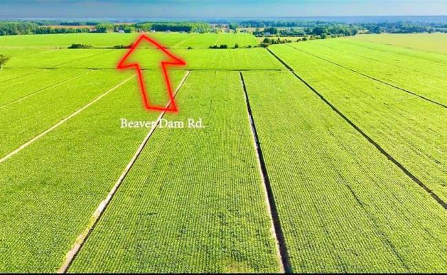 145A Beaver Dam Road, Chesapeake, VA 23322