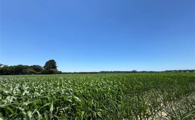 2A Head Of River Road, Chesapeake, VA 23322