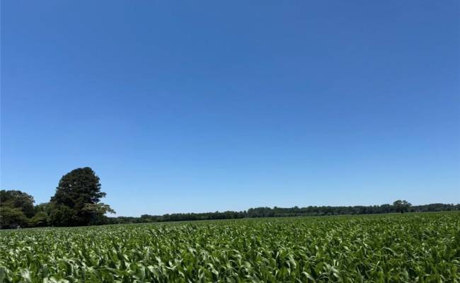 2A Head Of River Road, Chesapeake, VA 23322
