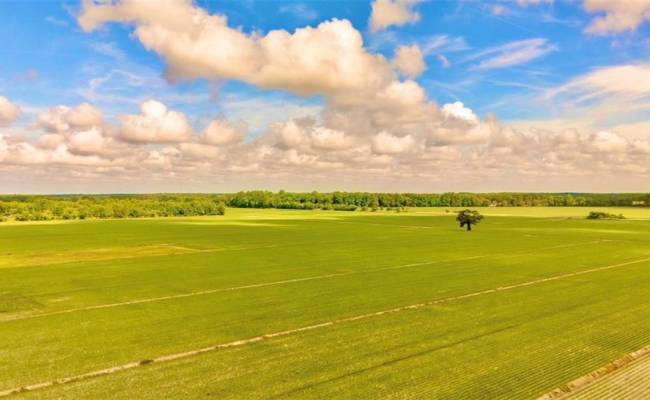 20A Head Of River Road, Chesapeake, VA 23322