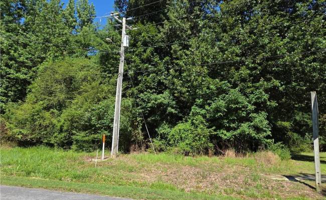 Lot 1 Branch Bridge Street, Southampton County, VA 23828