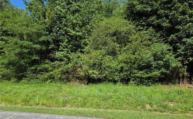 Lot 2 Branch Bridge Street, Southampton County, VA 23828