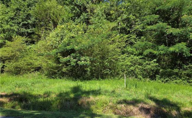 Lot 3 Branch Bridge Street, Southampton County, VA 23828