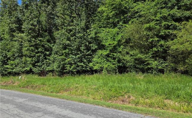 Lot 4 Branch Bridge Street, Southampton County, VA 23828