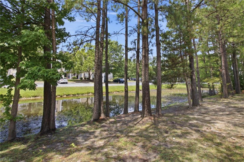 Photo 40 of 45 residential for sale in Chesapeake virginia
