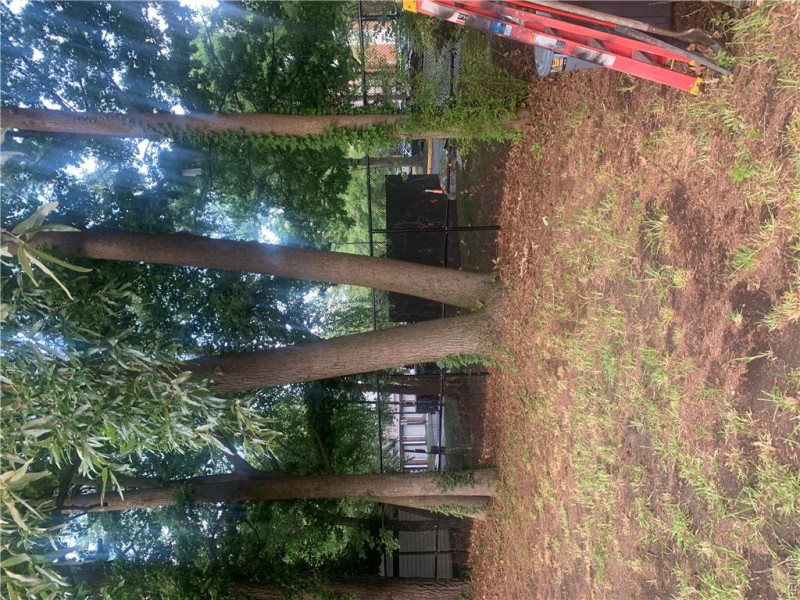 Photo 46 of 50 residential for sale in Norfolk virginia