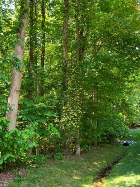 Photo 7 of 7 residential for sale in James City County virginia