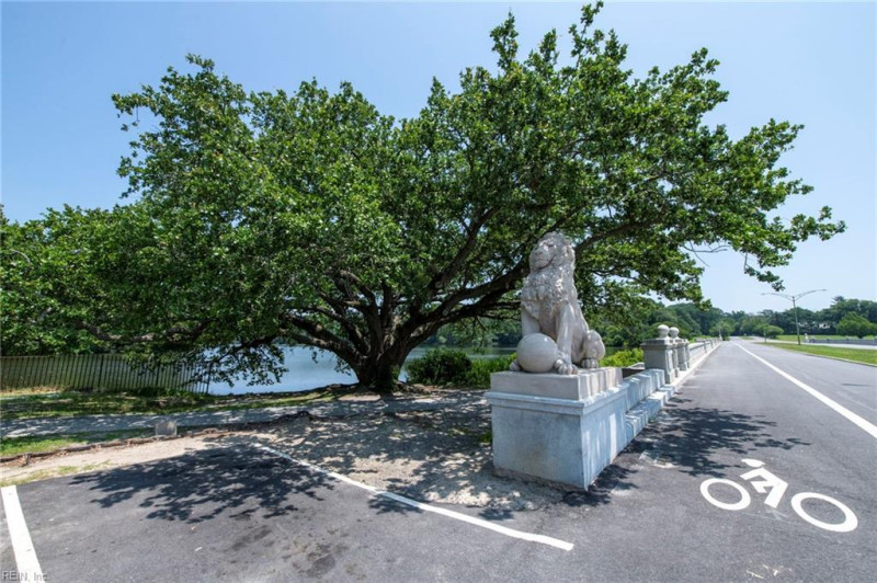 Photo 46 of 50 residential for sale in Newport News virginia