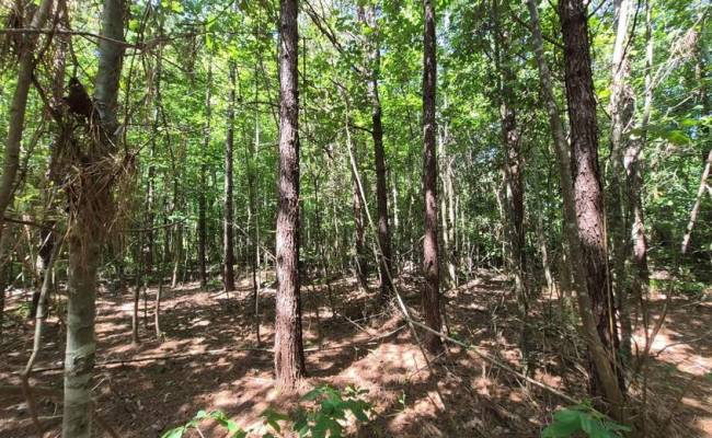 6576 Blackwater Road, Virginia Beach, VA 23457