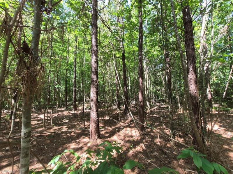 Photo 3 of 6 land for sale in Virginia Beach virginia