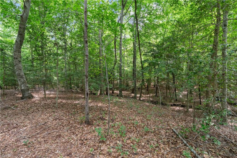 Photo 32 of 43 residential for sale in Suffolk virginia