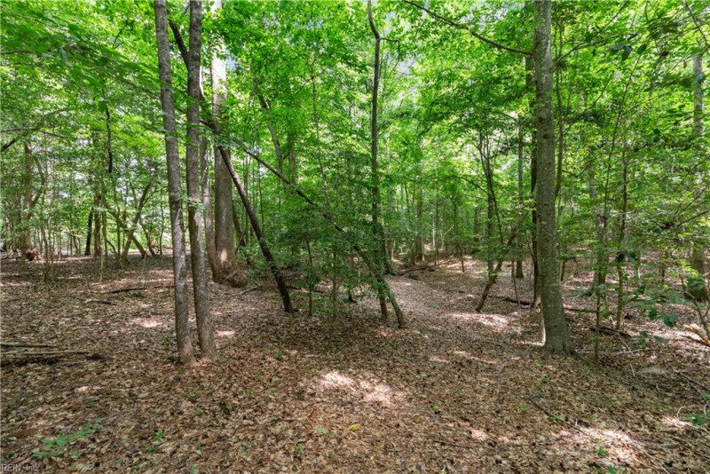 Photo 34 of 43 residential for sale in Suffolk virginia