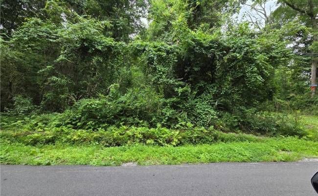 .37 Acre Mineral Spring Road, Suffolk, VA 23438