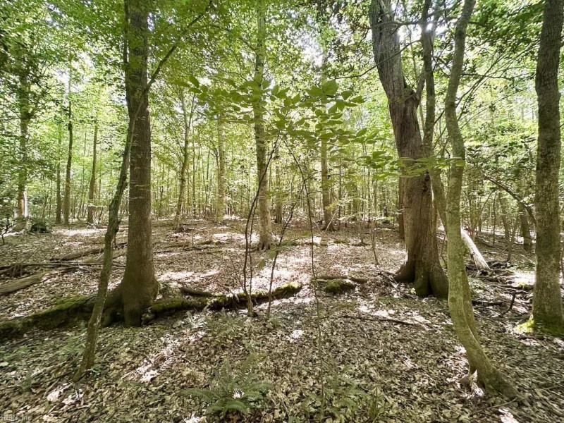 Photo 10 of 42 land for sale in Dinwiddie County virginia Photo 10 of 42 land for sale in Dinwiddie County virginia