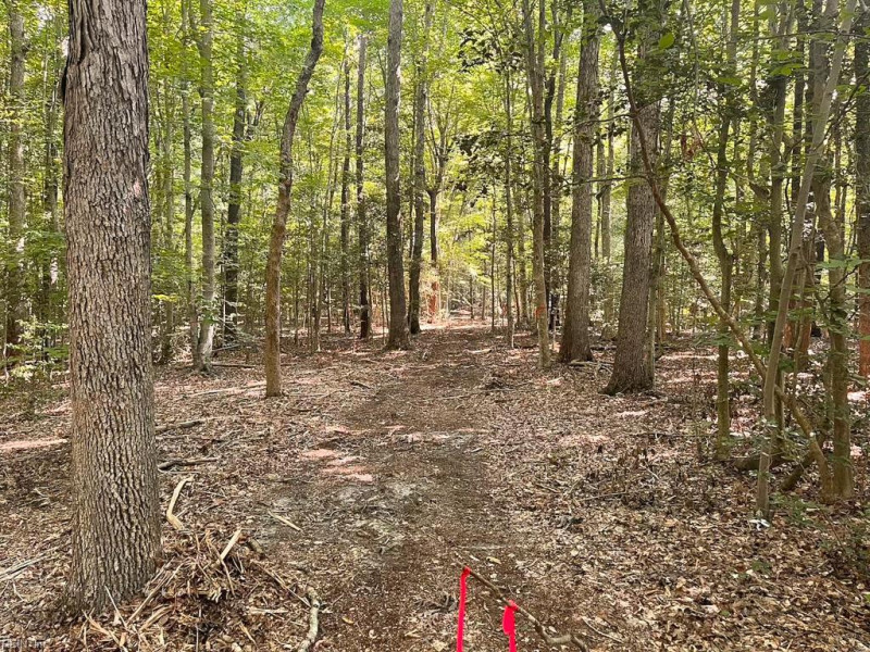 Photo 12 of 42 land for sale in Dinwiddie County virginia Photo 12 of 42 land for sale in Dinwiddie County virginia