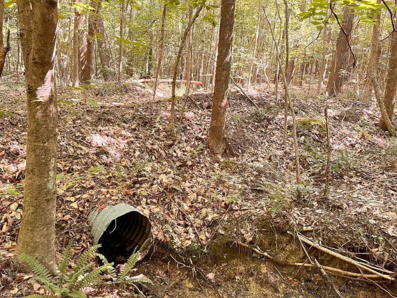 Photo 13 of 42 land for sale in Dinwiddie County virginia Photo 13 of 42 land for sale in Dinwiddie County virginia