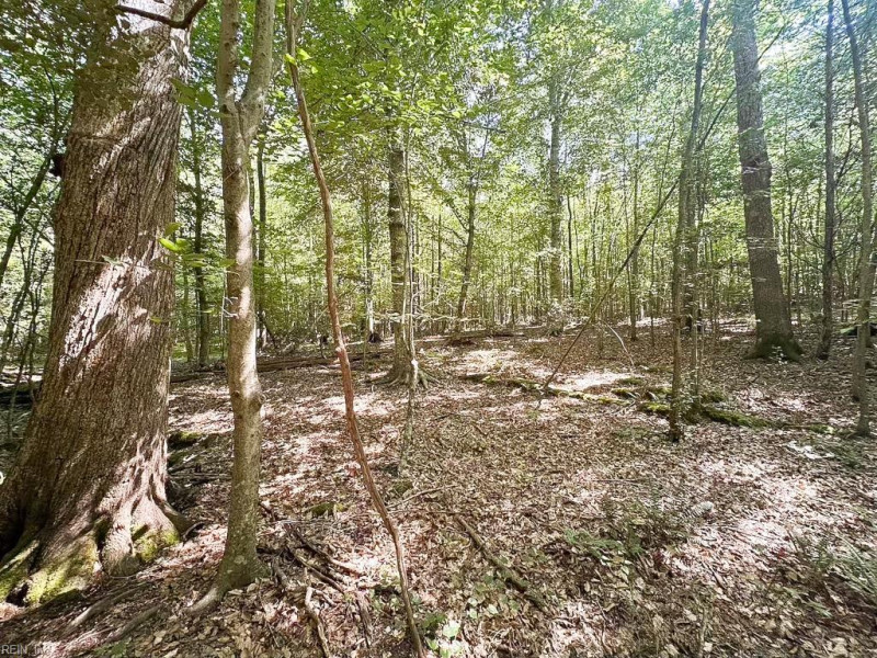 Photo 17 of 42 land for sale in Dinwiddie County virginia Photo 17 of 42 land for sale in Dinwiddie County virginia