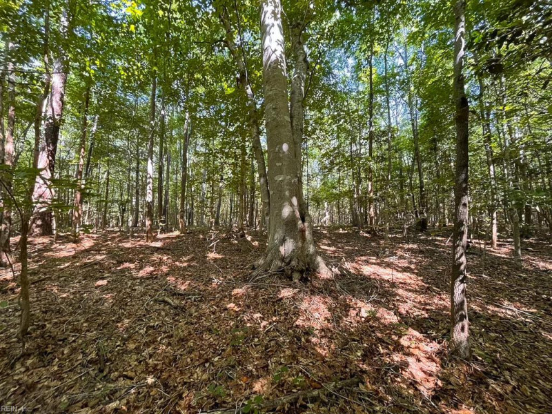 Photo 20 of 42 land for sale in Dinwiddie County virginia Photo 20 of 42 land for sale in Dinwiddie County virginia