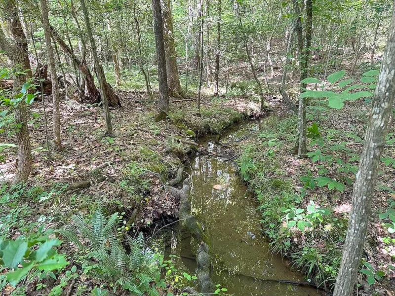 Photo 22 of 42 land for sale in Dinwiddie County virginia Photo 22 of 42 land for sale in Dinwiddie County virginia